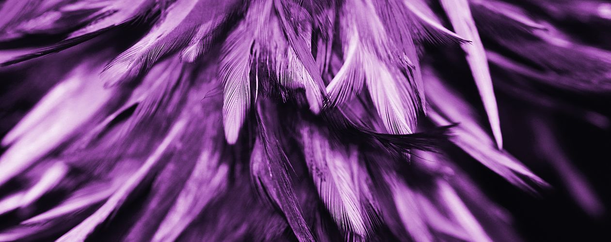 Violett ist die geheimnisvollste aller Farben – sie vereint das irdische Rot mit dem himmlischen Blau.